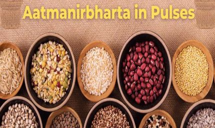 मिशन फॉर आत्मनिर्भरता इन पल्सेस की गतिविधियों की मॉनिटरिंग के लिए राज्य संचालन समिति गठित