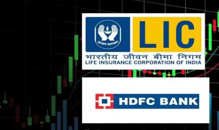LIC खरीदेगी HDFC Bank में बड़ी हिस्सेदारी, RBI ने दी मंजूरी; शेयरों पर निवेशकों की नजर