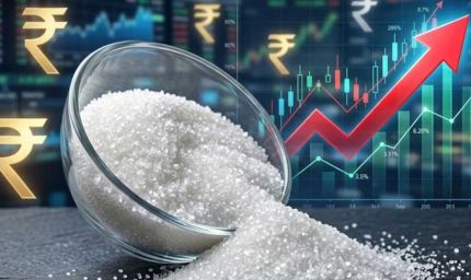 Govt On Sugar Price Hike: बेलगाम हुए चीनी के दाम, अल नीनो और रेड रॉट को लेकर सरकार ने बताई वजह
