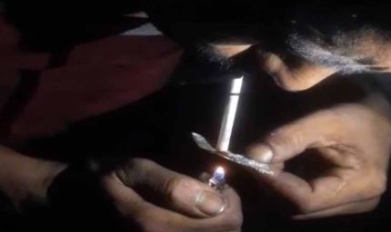मानसा जेल के 69 कैदी नशे की चपेट में, हाईकोर्ट ने पंजाब की सभी जेलों से मांगी रिपोर्ट