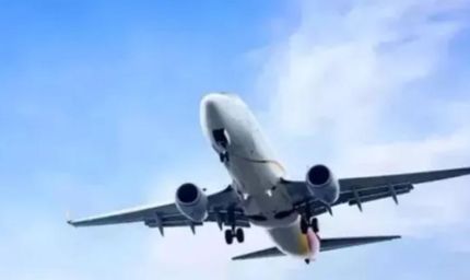 पटना एयरपोर्ट पर बढ़ा बर्ड हिट का खतरा, 2025 में सामने आए 9 मामले