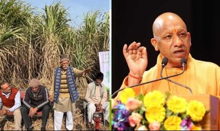 योगी सरकार ने गन्ना किसानों को किया 3.25 लाख करोड़ रुपये का भुगतान