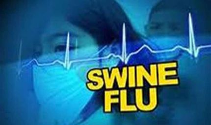 बिलासपुर में स्वाइन फ्लू की एंट्री, 7 मरीज मिलने से स्वास्थ्य विभाग अलर्ट