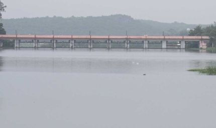 एमपी में भारी बारिश का अलर्ट, 17 जिलों में फ्लैश फ्लड का खतरा; टीकमगढ़ में 24 घंटे में 2.6 इंच बारिश