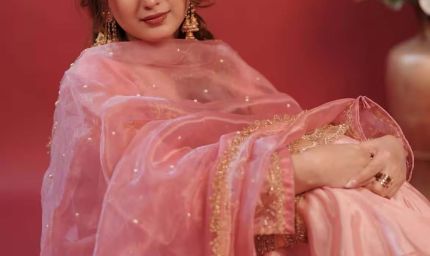 Bigg Boss 20 में एंट्री को लेकर बड़ा अपडेट, अरिशफा खान और ईशा रिखी के नाम चर्चा में