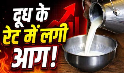 त्योहारों से पहले महंगाई का झटका! दूध के दाम सीधे ₹9 बढ़े, जानें नई कीमतें कब से लागू
