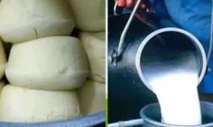 यूपी में मिलावटखोरों पर बड़ा शिकंजा, 26 लाख की खाद्य सामग्री जब्त; 18 FIR दर्ज