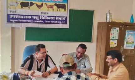शुपालन केसीसी से धमतरी के 93 पशुपालकों को मिली 98.62 लाख की वित्तीय संजीवनी