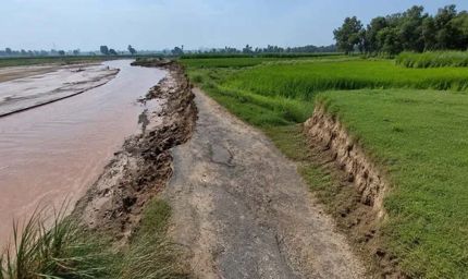 टांगरी नदी के तेज बहाव से तबाही, कई गांवों में कृषि भूमि नदी में समाई