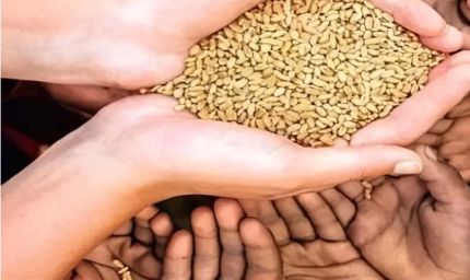 राजस्थान में राशन वितरण पर संकट! 4 सितंबर के बाद खराब हुई POS मशीन तो नहीं मिलेगा गेहूं