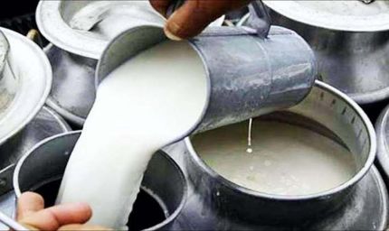 सवाई माधोपुर में दूध के बढ़े दाम, 1 सितंबर से 80 रुपये लीटर बेचने पर सहमति