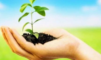 अधिमान्य पत्रकार नेतृत्व समिति का महा-वृक्षारोपण अभियान: मध्य प्रदेश में 3000 और छत्तीसगढ़ में 1000 पौधे रोपे गए