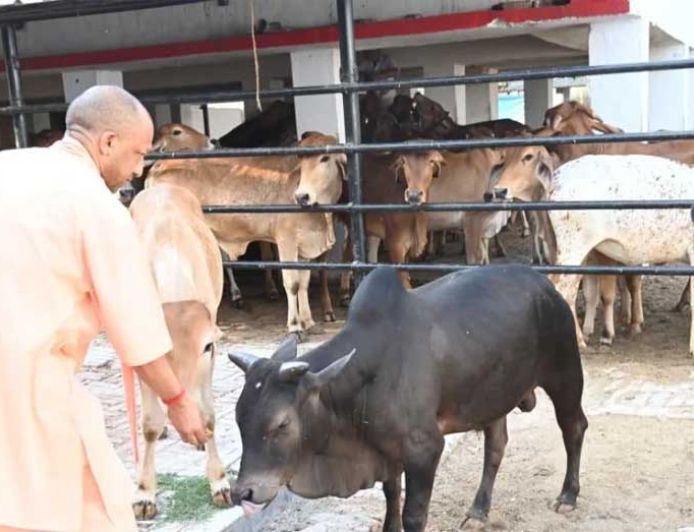 सीएम योगी की गोसंरक्षण नीति का असर : करोड़ों कमा रहे युवा, बढ़ रहा रोजगार