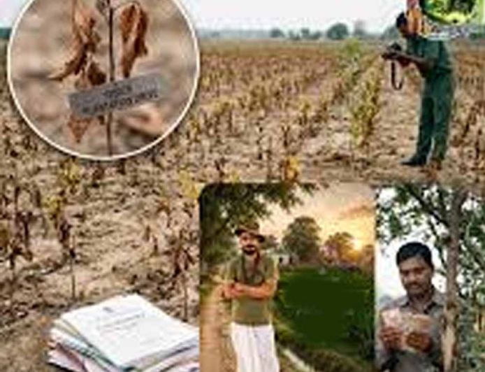 हरियाणा के बागवानी विभाग में 100 करोड़ के घोटाले पर 13 साल बाद FIR, खेतों में नहीं मिला एक भी पौधा