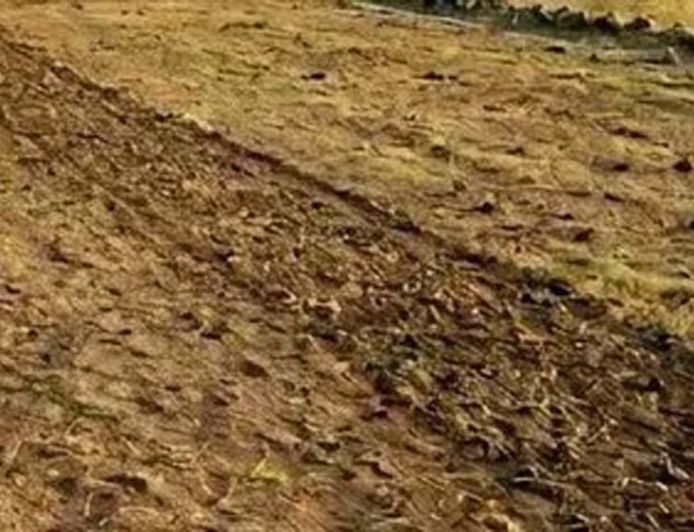 लखनऊ में 2 हजार करोड़ की सरकारी जमीन घोटाले से मचा हड़कंप, 10 अफसर जांच के घेरे में