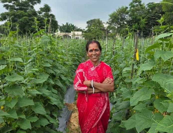बिहान से बहनों को मिला आर्थिक संबल, खीरे की खेती से सुभद्रा मंडल ने लिखी आत्मनिर्भरता की नई कहानी