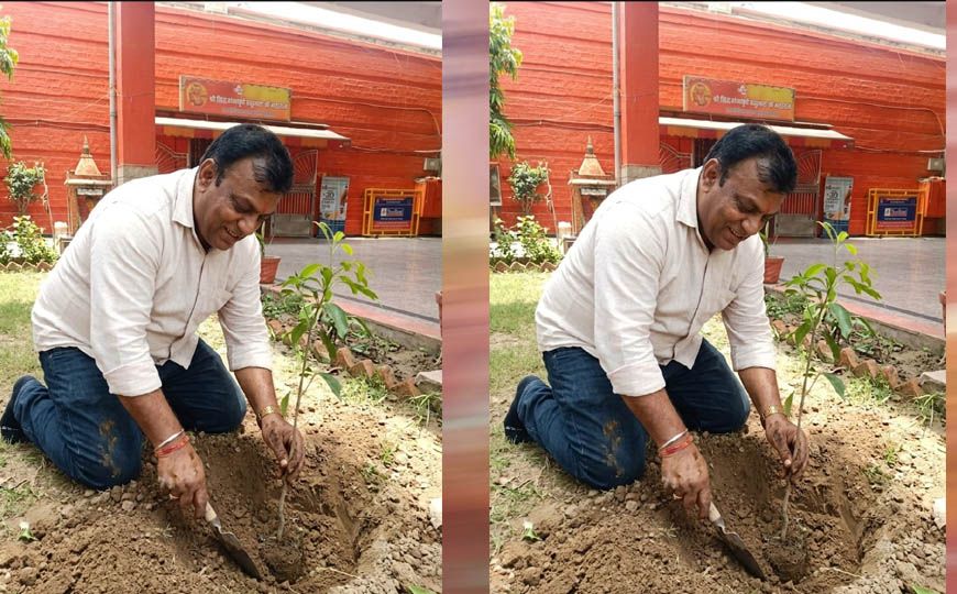 प्रदेश उपाध्यक्ष महेश सिनकर ने आम के वृक्ष मंदिर परिसर में लगाए