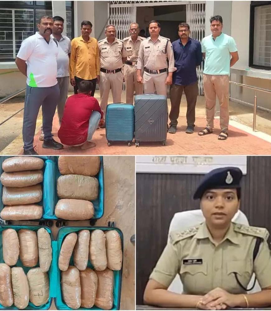 कटनी में पुलिस की बड़ी कार्रवाई, 20 किलो गांजे के साथ तस्कर गिरफ्तार