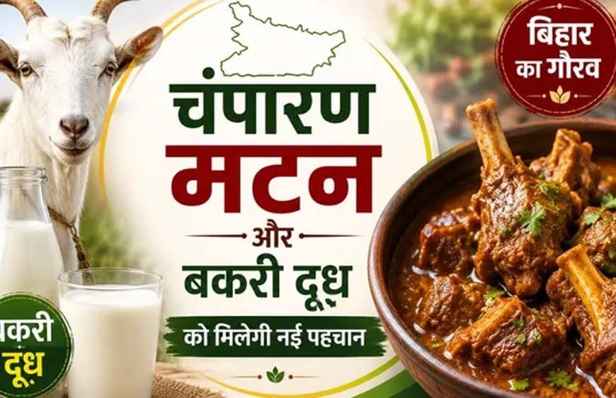 चंपारण मटन और बकरी दूध को मिलेगी नई पहचान, GI टैग की तैयारी