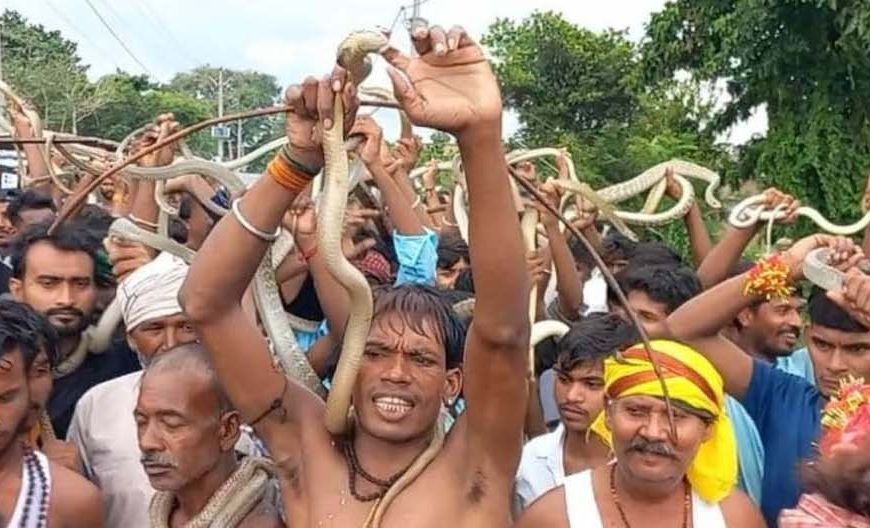 सावन की पहली सोमवारी पर नाग पंचमी का संयोग, बिहार के शिवालयों में उमड़ा आस्था का सैलाब