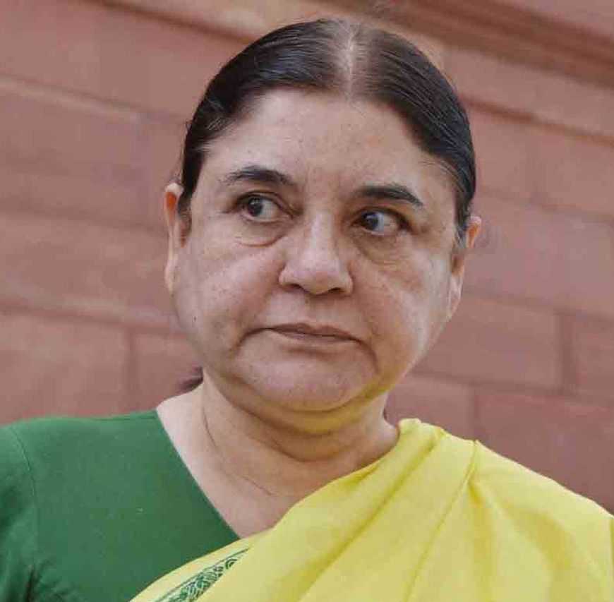 मेनका गांधी के हाथ से निकली 522 एकड़ जमीन, 51 साल पुराने विवाद में आया बड़ा फैसला