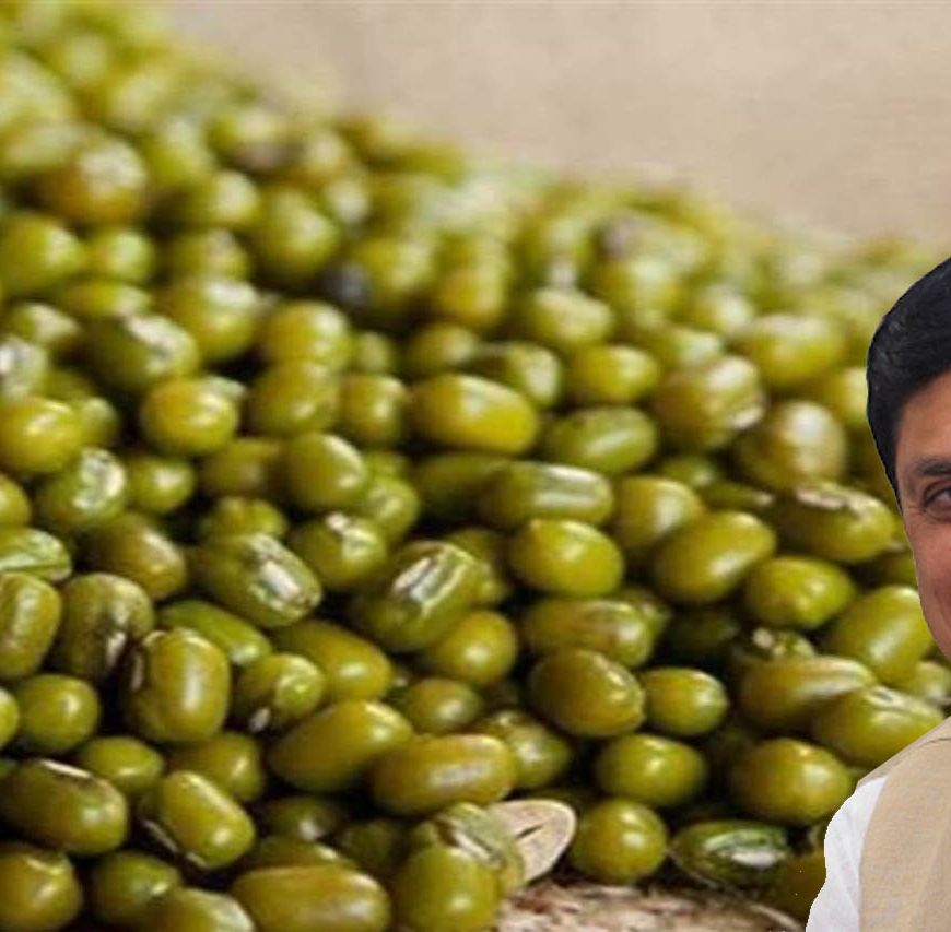 MP MSP Mung Procurement: मध्य प्रदेश में मूंग खरीदी का नया प्लान लागू, किसानों को मिलेगा बड़ा फायदा