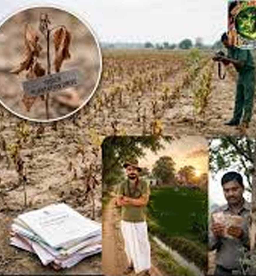 हरियाणा के बागवानी विभाग में 100 करोड़ के घोटाले पर 13 साल बाद FIR, खेतों में नहीं मिला एक भी पौधा