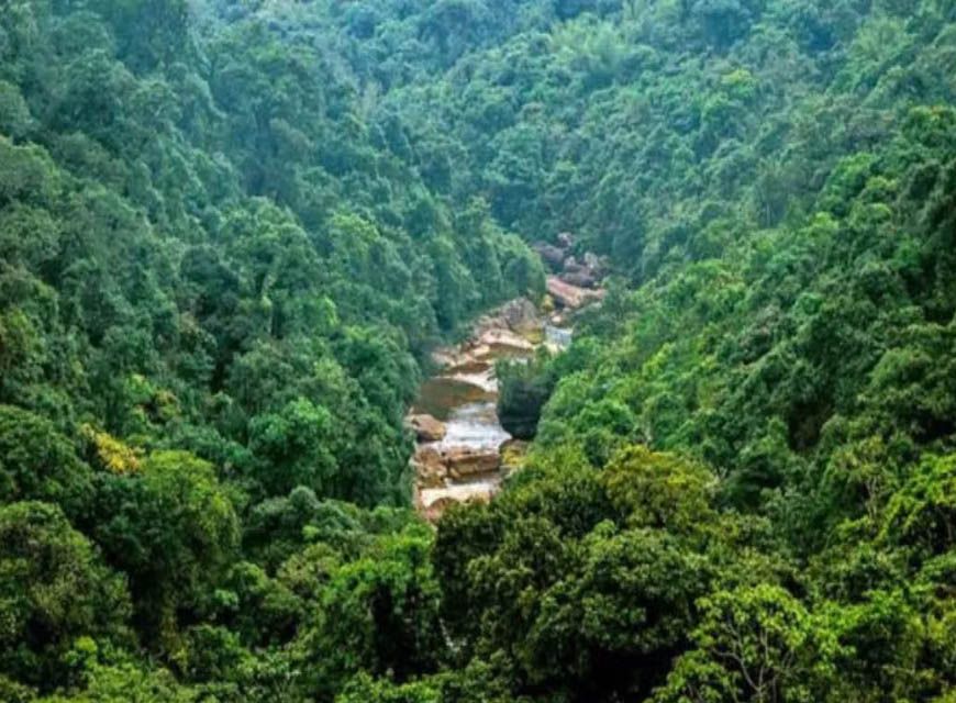 मध्य प्रदेश में हरियाली पर बड़ा संकट! 371.54 वर्ग किमी जंगल घटे, माइनिंग और निर्माण के लिए बदली गई वन भूमि
