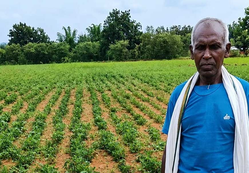 NMEO योजना से किसान बेसाहू राम की खेती को मिली नई दिशा