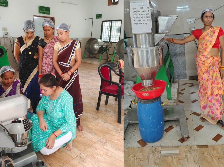 महुआ से बदली महिलाओं की तकदीर, वन धन योजना ने दी आत्मनिर्भरता की नई पहचान