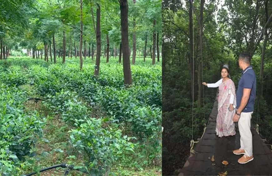 हजारीबाग का डेमोटांड फार्म बनेगा एग्रो टूरिज्म केंद्र, किसानों को मिलेगा प्रशिक्षण