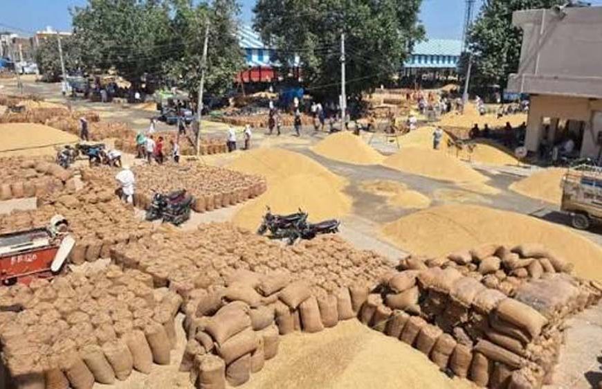 हरियाणा राइस मिलर्स को मुख्यमंत्री की बड़ी राहत, बोनस और समाधान का भरोसा