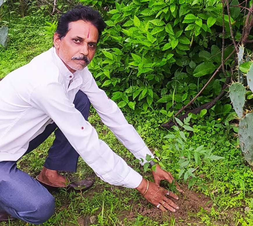 शहडोल संभागीय अध्यक्ष प्रकाश सोनी ने लगाए नीम के पौधे