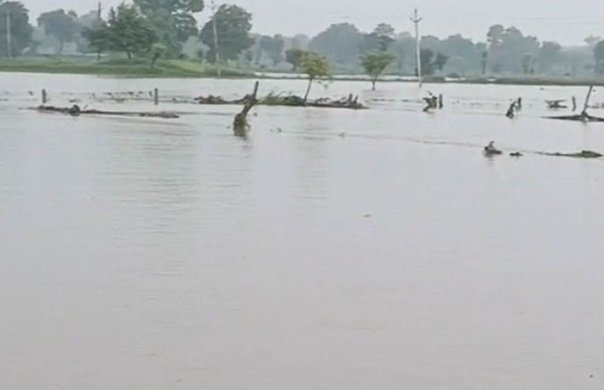 MP Weather Alert: मध्य प्रदेश के 52 जिलों में बारिश की चेतावनी, पन्ना-सतना-रीवा में भारी बारिश और उफान पर नदियां