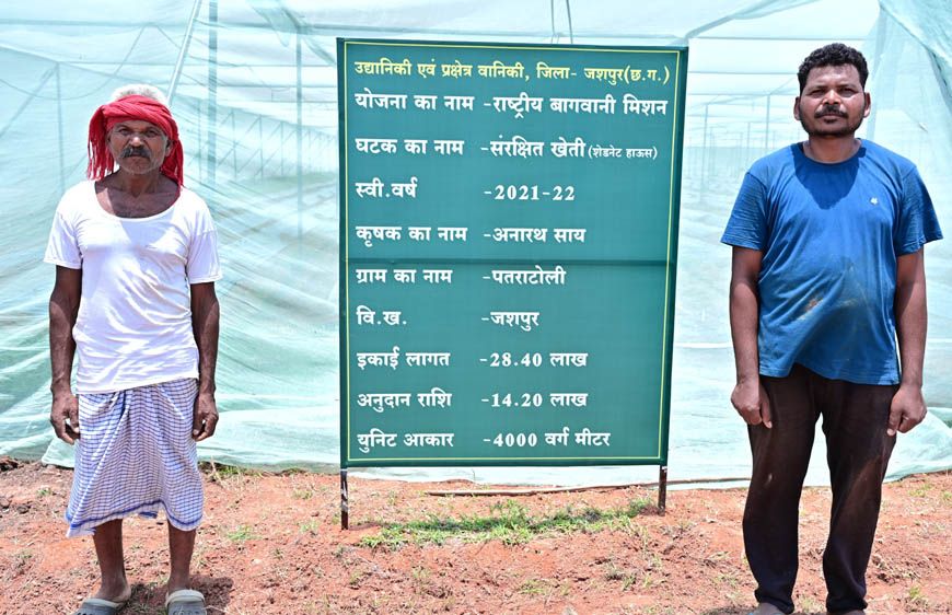 संरक्षित खेती और उद्यानिकी से जशपुर के किसान अनारथ साय ने लिखी आत्मनिर्भरता की नई कहानी