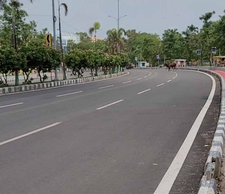 Punjab में मानसून पड़ा सुस्त, अगले 5 दिन भारी बारिश नहीं; उमस बढ़ाएगी परेशानी