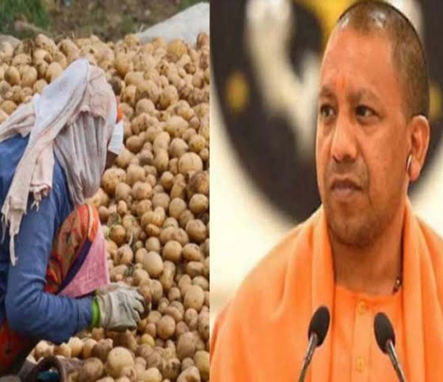योगी सरकार का आलू किसानों को बड़ा तोहफा, भंडारण शुल्क में ₹1 किलो राहत
