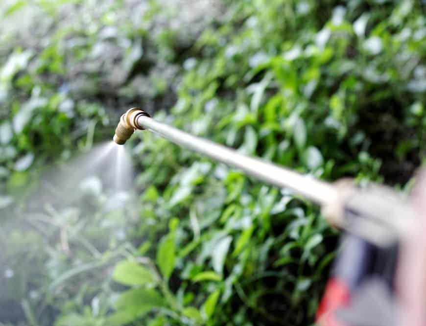 चीन की चाल नाकाम! केंद्र ने ‘कैंसर के खतरे’ वाले हर्बिसाइड पर लगाया बैन, किसानों के लिए बड़ा फैसला