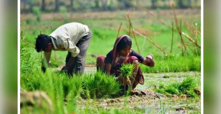 झारखंड में किसानों के लिए बड़ा फैसला, भूमि संरक्षण योजनाओं पर मंत्री ने दिखाई सख्ती