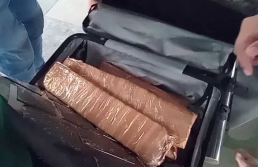 Bhopal Drug Bust: अंतरराष्ट्रीय ड्रग सिंडिकेट का भंडाफोड़, 8.6 किलो ड्रग्स जब्त; 5 गिरफ्तार
