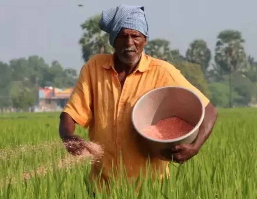 अम्बिकापुर में राष्ट्रीय खाद्य सुरक्षा एवं पोषण मिशन से किसानों को मिल रहा संबल
