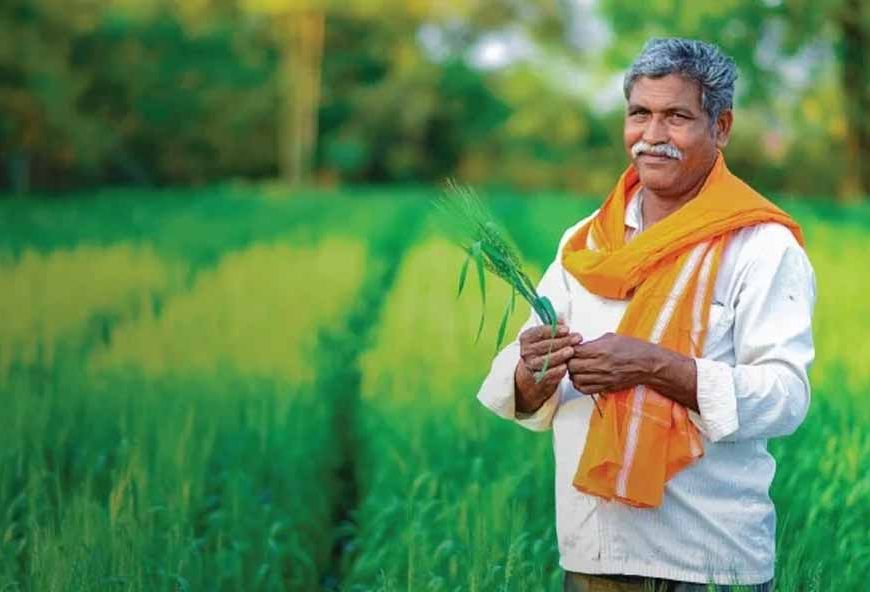 किसानों के लिए बड़ी राहत, मोबाइल से फोटो भेजकर पता चलेगी फसल की बीमारी