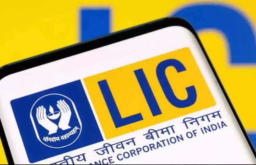 LIC के बाद अब इन कंपनियों पर सरकार की नजर, हिस्सेदारी बिक्री से मिल सकता है कमाई का मौका