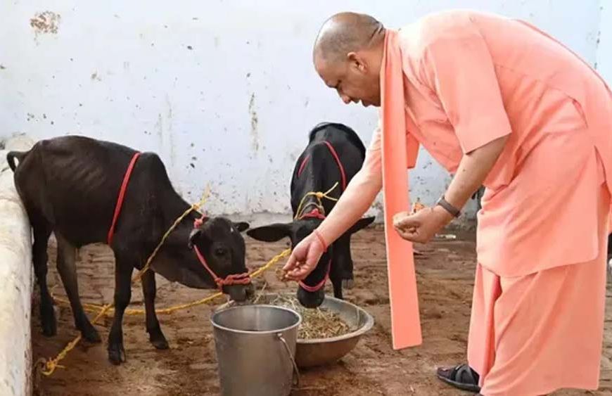 यूपी में 10 हजार गो मित्र बनेंगे, योगी सरकार Gen Z को गो संरक्षण से जोड़ेगी