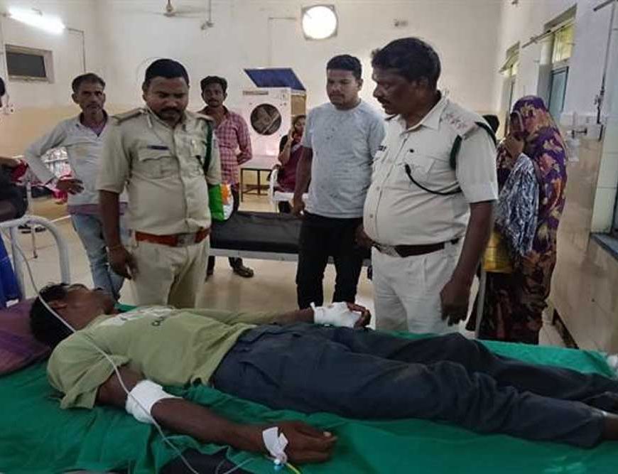 बाघिन ने किया चरवाहे पर हमला, भैंसों की वफादारी से बची जान