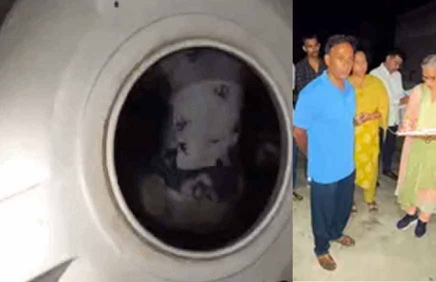 शादी के 8 महीने बाद पानी की टंकी में मिला महिला का शव, रोहतक में खौफनाक हत्या से सनसनी