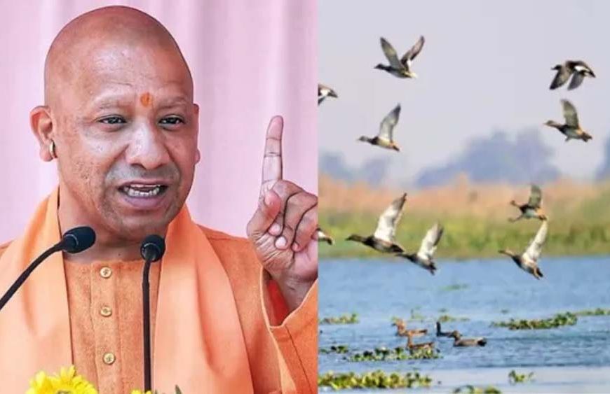यूपी की सात और वेटलैंड बनेंगी रामसर साइट, अंतरराष्ट्रीय पहचान मिलने से बढ़ेगा संरक्षण