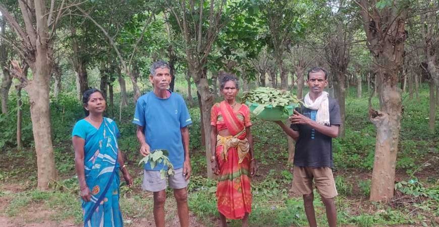 तसर पालन से बीजापुर के ग्रामीणों की बढ़ेगी आय