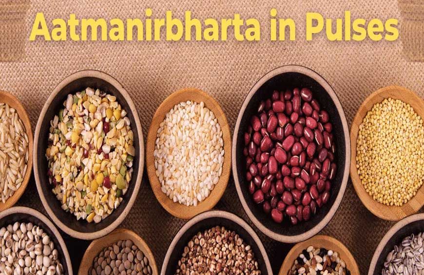 मिशन फॉर आत्मनिर्भरता इन पल्सेस की गतिविधियों की मॉनिटरिंग के लिए राज्य संचालन समिति गठित