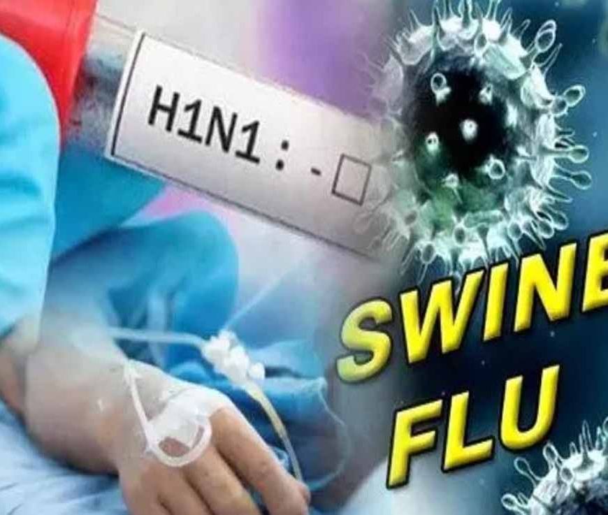 पंजाब में स्वाइन फ्लू के 4 मरीज मिले, रिपोर्ट पॉजिटिव आते ही स्वास्थ्य विभाग अलर्ट